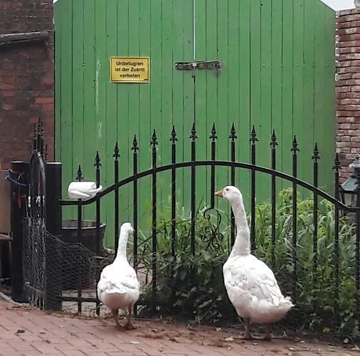 Apartament Wagner Weener